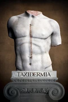 taxidermia